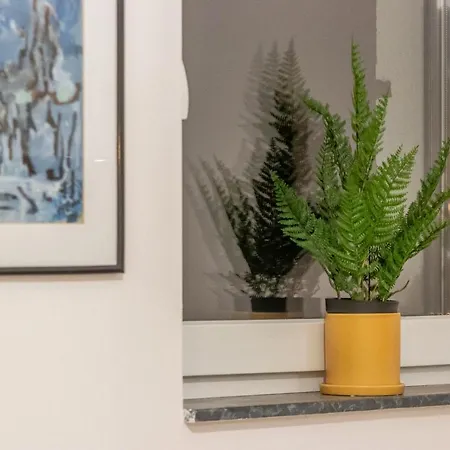 Modern And Stylish W Terrace *