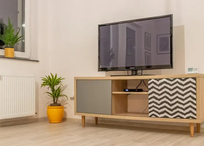 Modern And Stylish W Terrace Διαμέρισμα Κλουζ-Ναπόκα